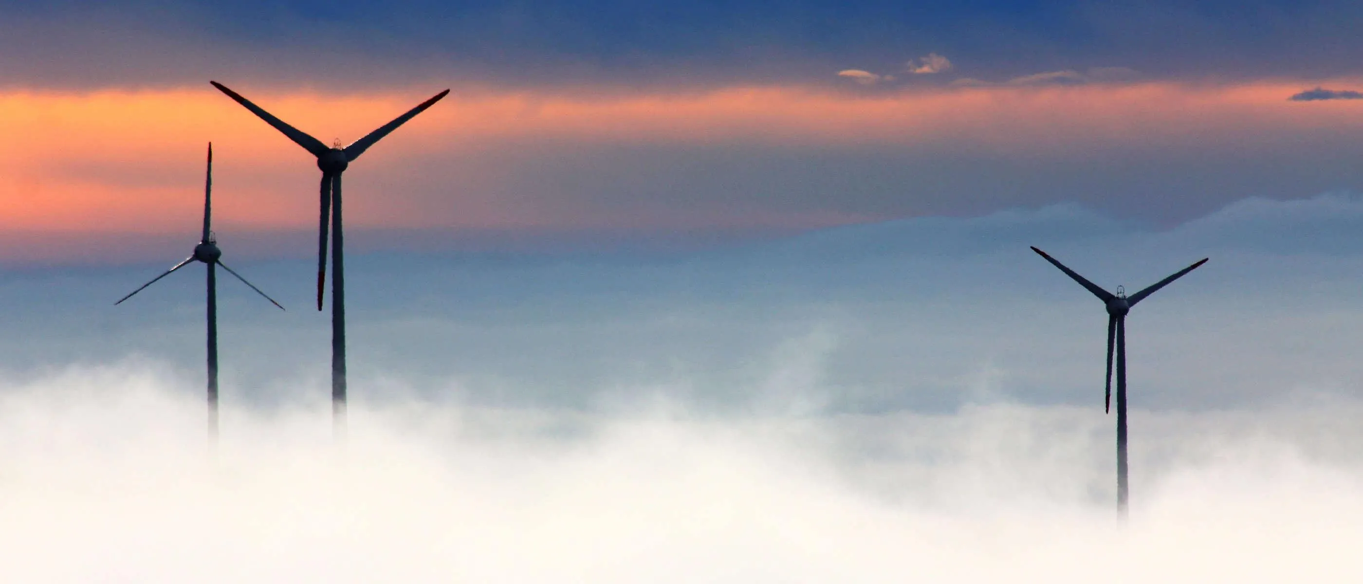 Wind turbines rising above low cloud at sunrise